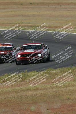 media/May-04-2024-Lucky Dog Racing (Sat) [[d39539b3f3]]/Race Pics/1015am (Turn 2)/
